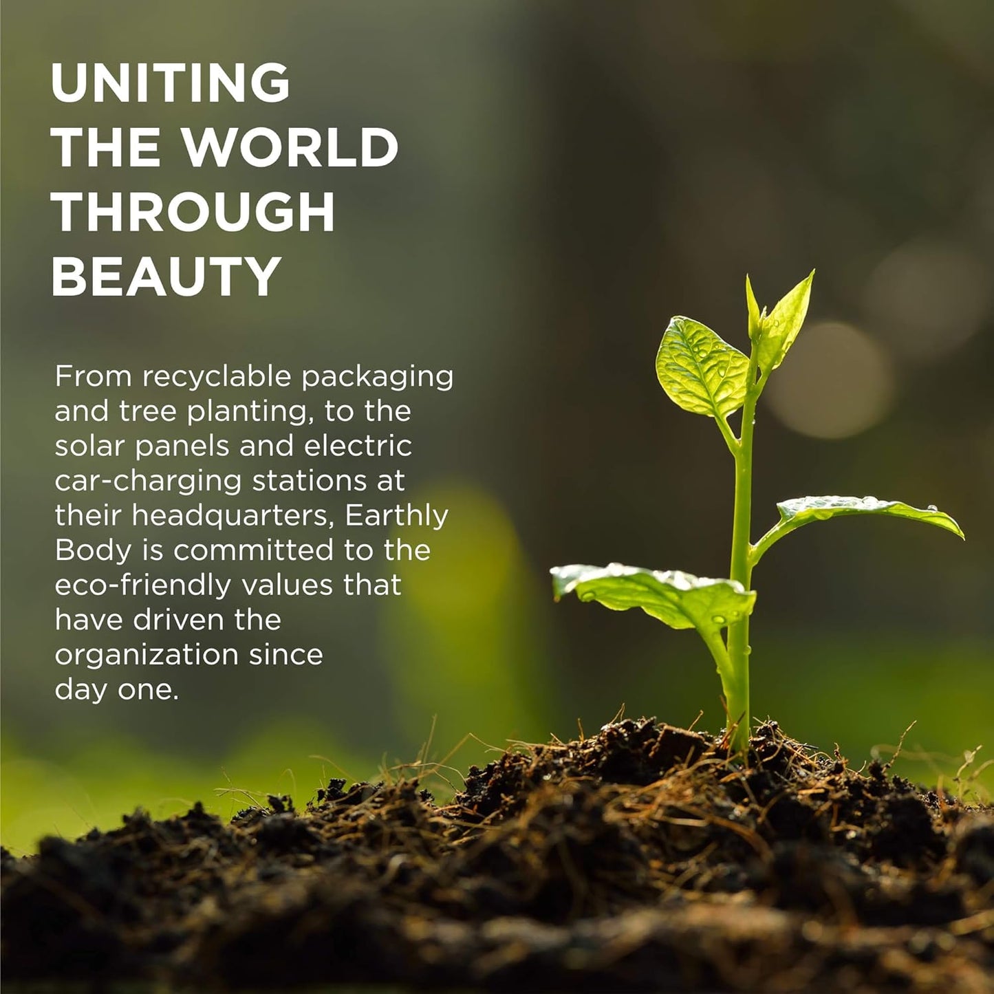 Earthly Body Moisturizing Oil Spray aka Body Dew